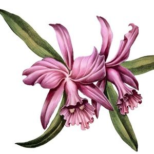 Meet your Posher, Maria belen